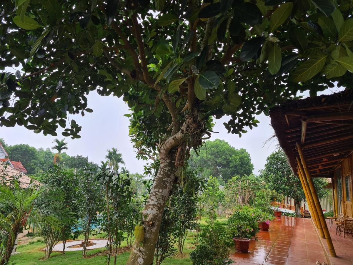 Byve Garden Villa Hà Nội Ngoại thất bức ảnh