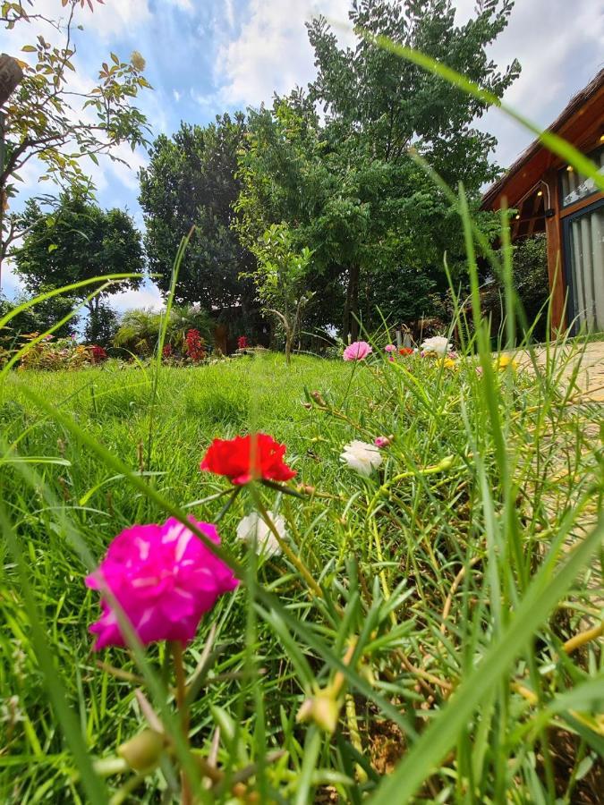 Byve Garden Villa Hà Nội Ngoại thất bức ảnh